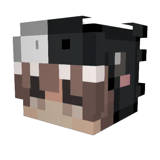 rabdovirus Minecraft avatar head, 3D render