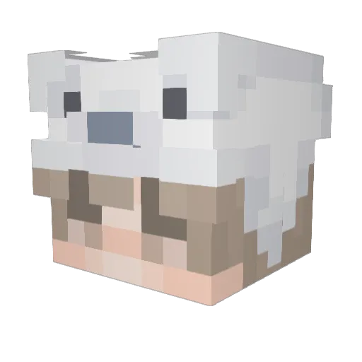 rabi_el Minecraft avatar head, 3D render