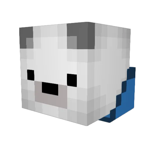 rabid1972 Minecraft avatar head, 3D render
