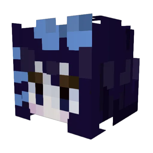 rabidcatboy Minecraft avatar head, 3D render