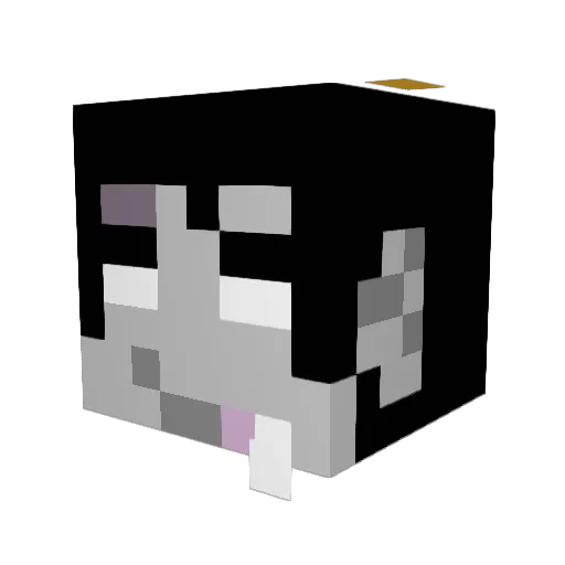 rabidchomp Minecraft avatar head, 3D render