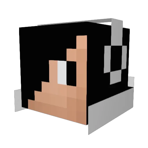 rabyaexpdition Minecraft avatar head, 3D render