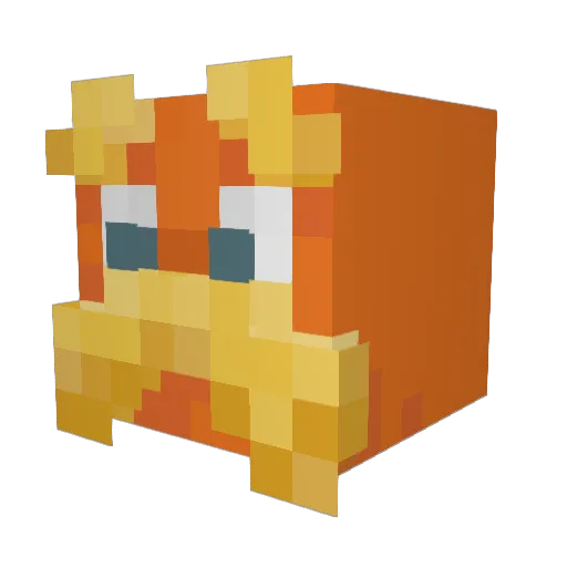 rac00ndog Minecraft avatar head, 3D render