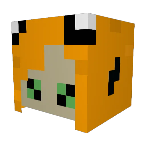 raccboo Minecraft avatar head, 3D render