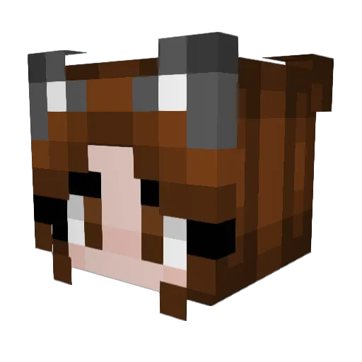 raccluvr Minecraft avatar head, 3D render