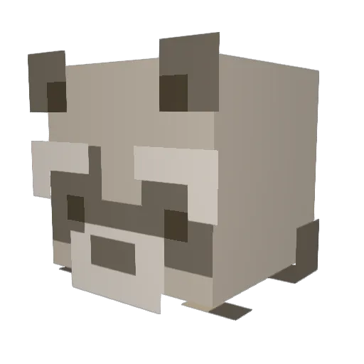 raccmin28 Minecraft avatar head, 3D render