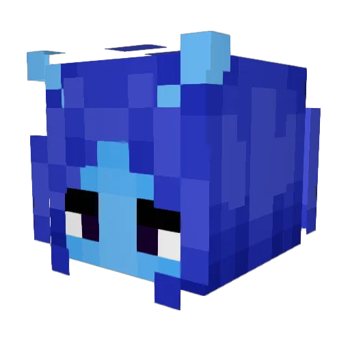 raccoaster Minecraft avatar head, 3D render
