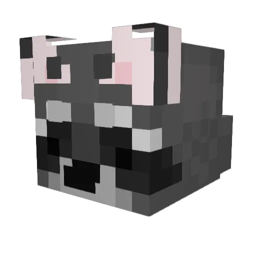 racconchild2008 Minecraft avatar head, 3D render