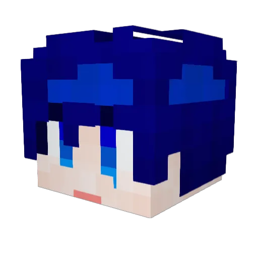 racecity Minecraft avatar head, 3D render