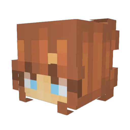 racerpilot2011 Minecraft avatar head, 3D render