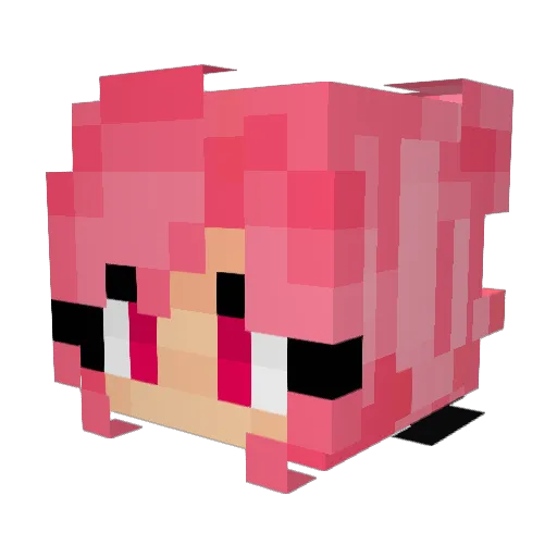 racg_yt Minecraft avatar head, 3D render