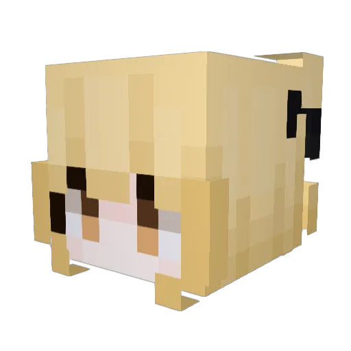 rach12011 Minecraft avatar head, 3D render