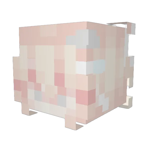 rachbo7 Minecraft avatar head, 3D render