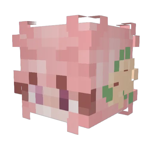 rachel1724 Minecraft avatar head, 3D render