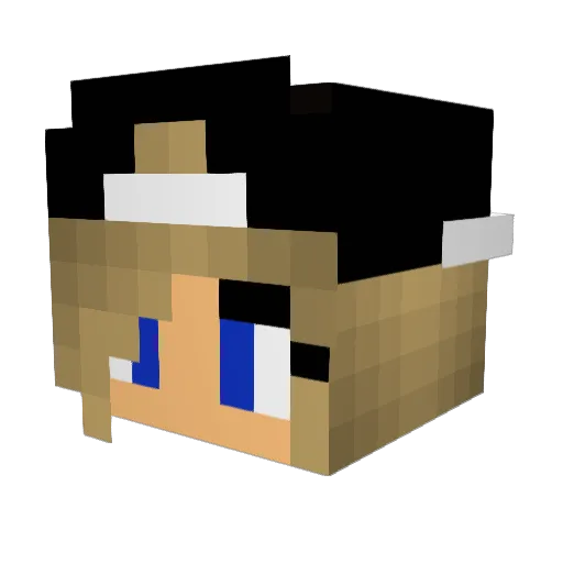 rachel4422 Minecraft avatar head, 3D render