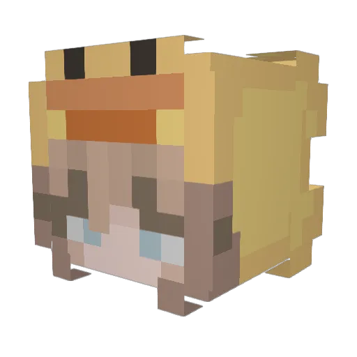 rachel8718 Minecraft avatar head, 3D render