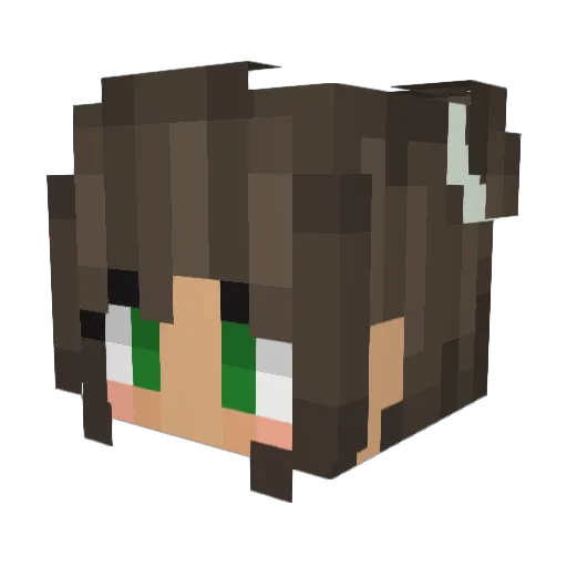 racheljso Minecraft avatar head, 3D render
