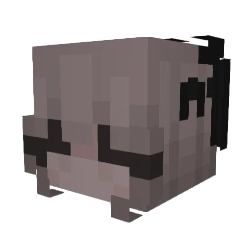 rachelllll2008 Minecraft avatar head, 3D render