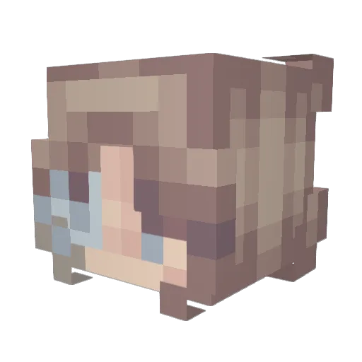 rachelllmae Minecraft avatar head, 3D render