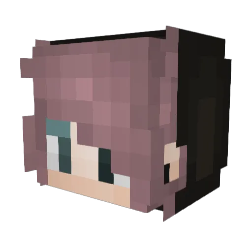 rachellynnftw Minecraft avatar head, 3D render