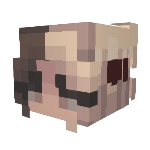 rachelroye Minecraft avatar head, 3D render