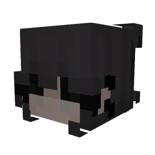 rachelsies Minecraft avatar head, 3D render