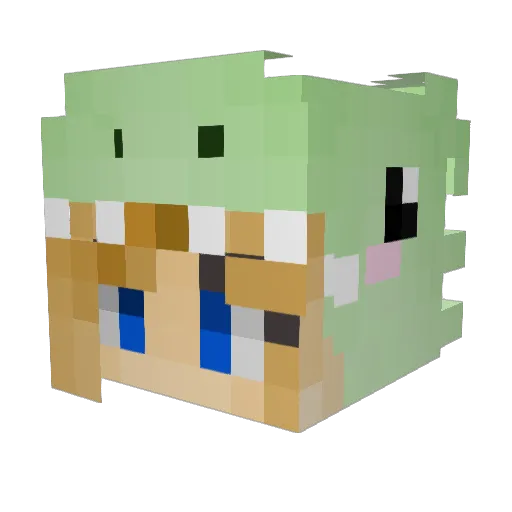 rachelz_ Minecraft avatar head, 3D render