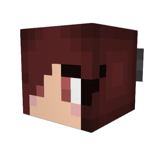 rachf378 Minecraft avatar head, 3D render