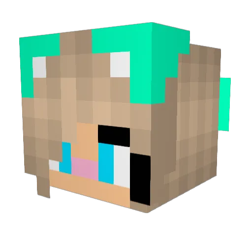 rachisrae Minecraft avatar head, 3D render