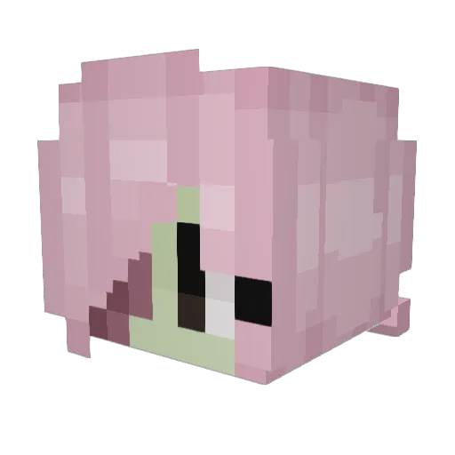 Minecraft-Avatar von rachizzleUwU: Kopf als 3D-Render