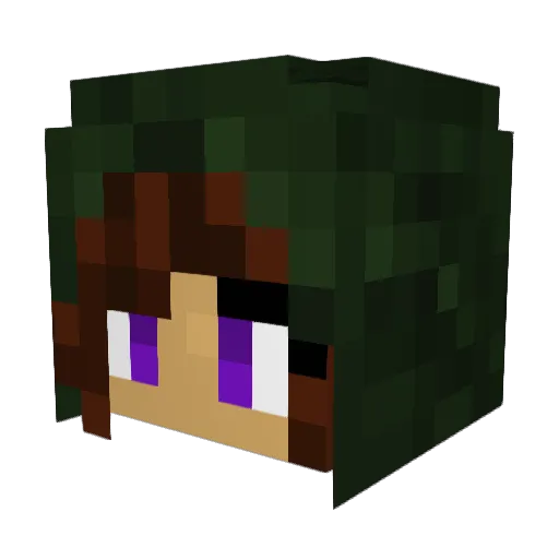 rachoodle Minecraft avatar head, 3D render