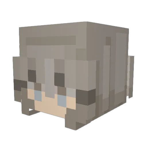rachwhale Minecraft avatar head, 3D render