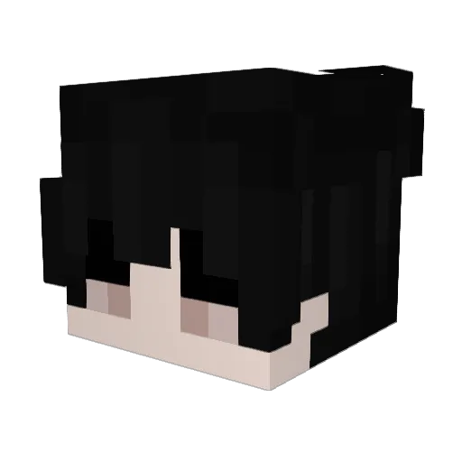 rackershin Minecraft avatar head, 3D render