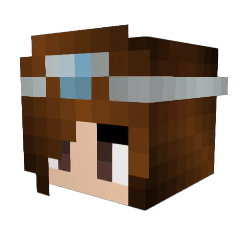 rackio101 Minecraft avatar head, 3D render