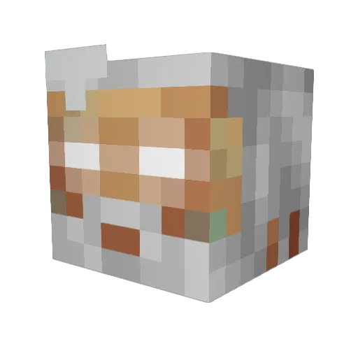 rackroleo Minecraft avatar head, 3D render