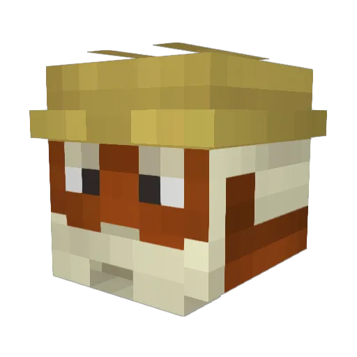rackstur Minecraft avatar head, 3D render