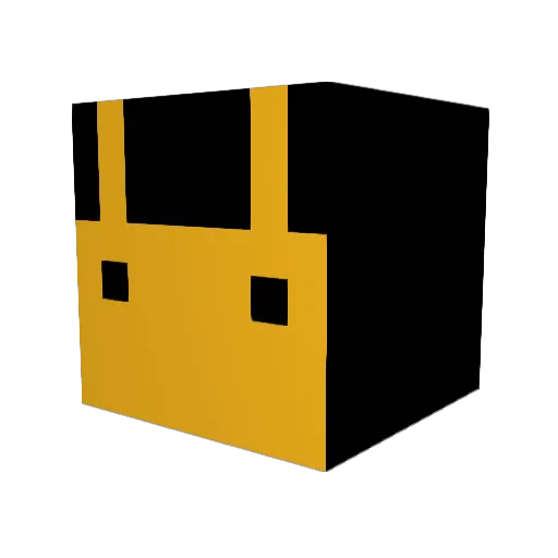 racoon1101 Minecraft avatar head, 3D render
