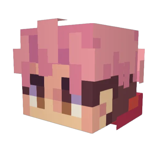 racoongod7 Minecraft avatar head, 3D render