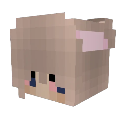 racs5_ Minecraft avatar head, 3D render