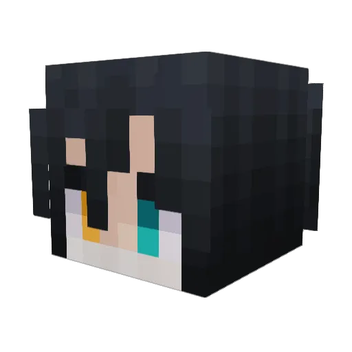 racsssssssssssss Minecraft avatar head, 3D render