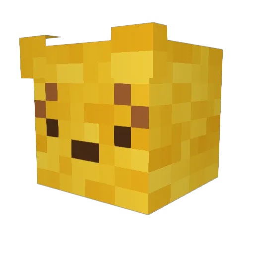 racx_00 Minecraft avatar head, 3D render