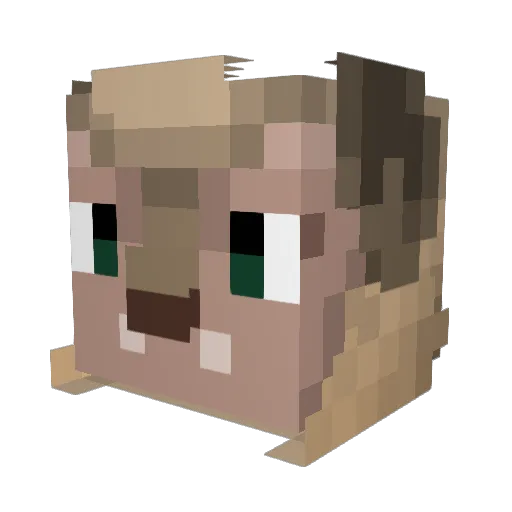 radarhead Minecraft avatar head, 3D render