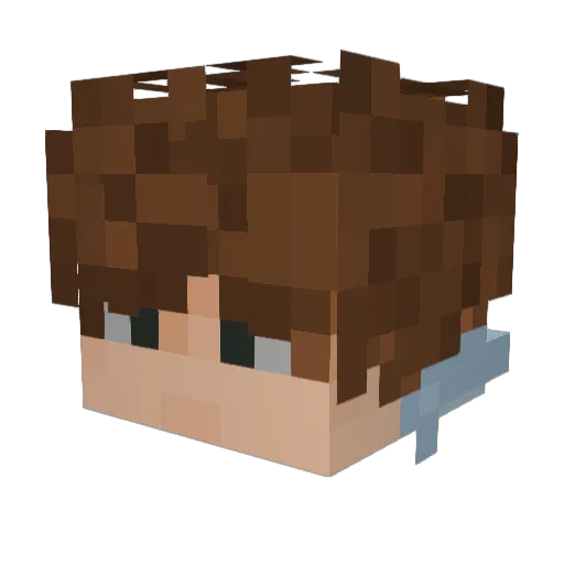 radarr Minecraft avatar head, 3D render