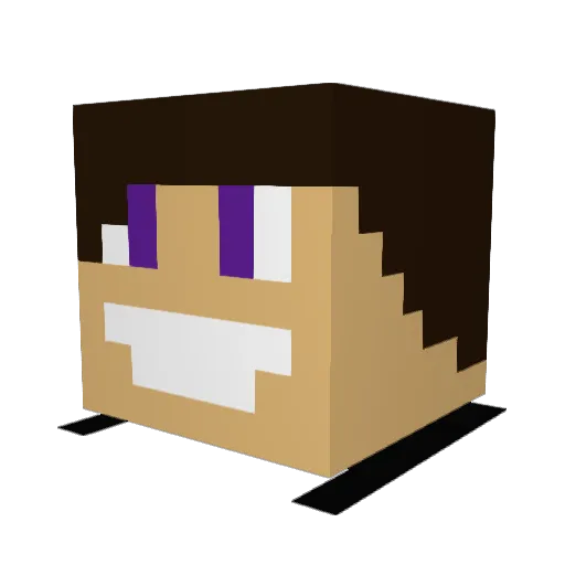 radek4500 Minecraft avatar head, 3D render