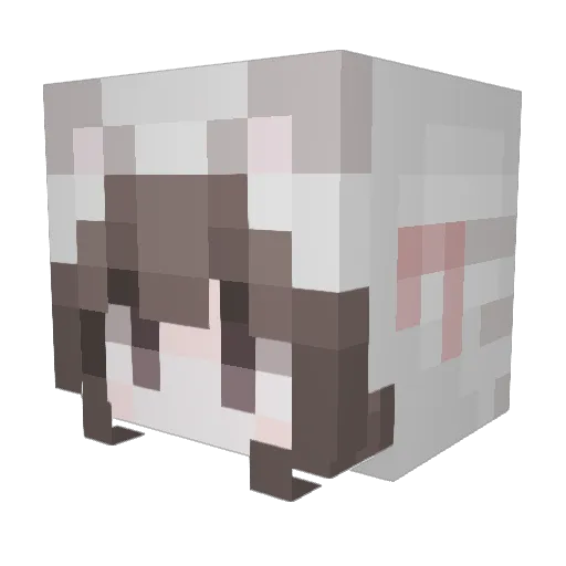 radiantgrl11 Minecraft avatar head, 3D render