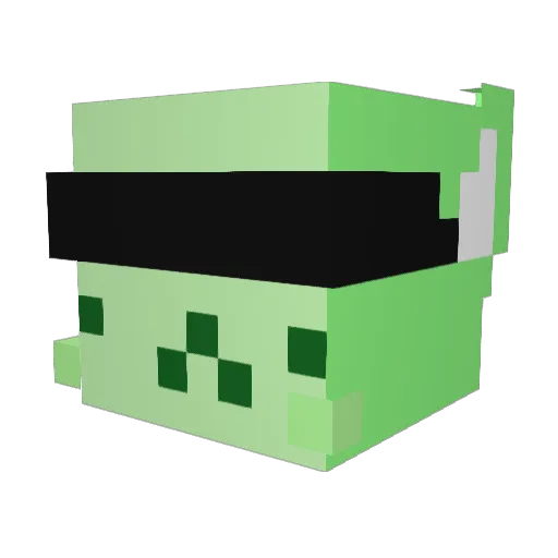radiatee Minecraft avatar head, 3D render