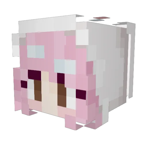 radiationation Minecraft avatar head, 3D render