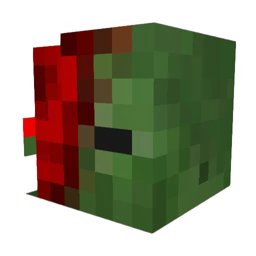 radicalboy0109 Minecraft avatar head, 3D render