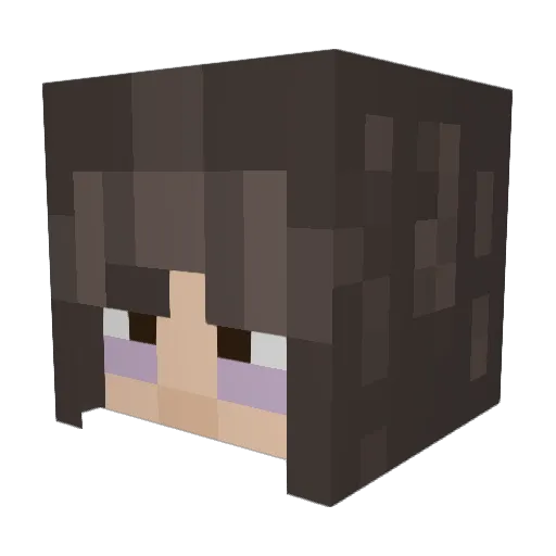 radicalguy_99 Minecraft avatar head, 3D render