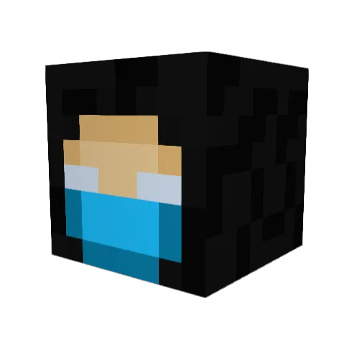 radicalroach_ Minecraft avatar head, 3D render